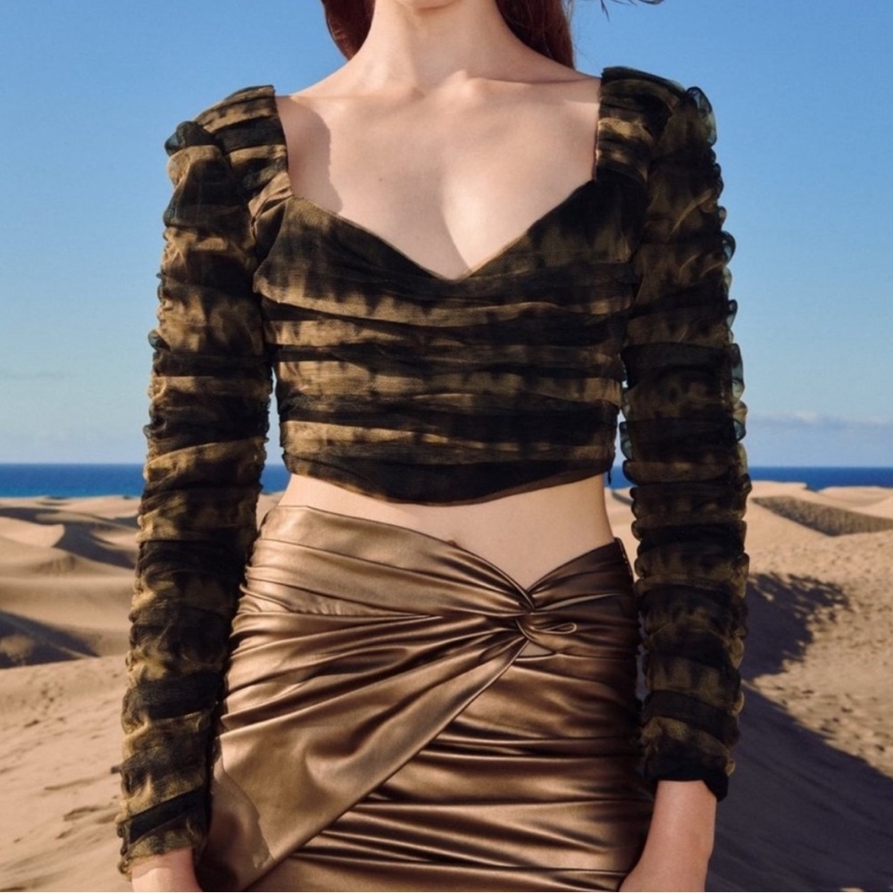 ZARA - Tulle Corsetry Top